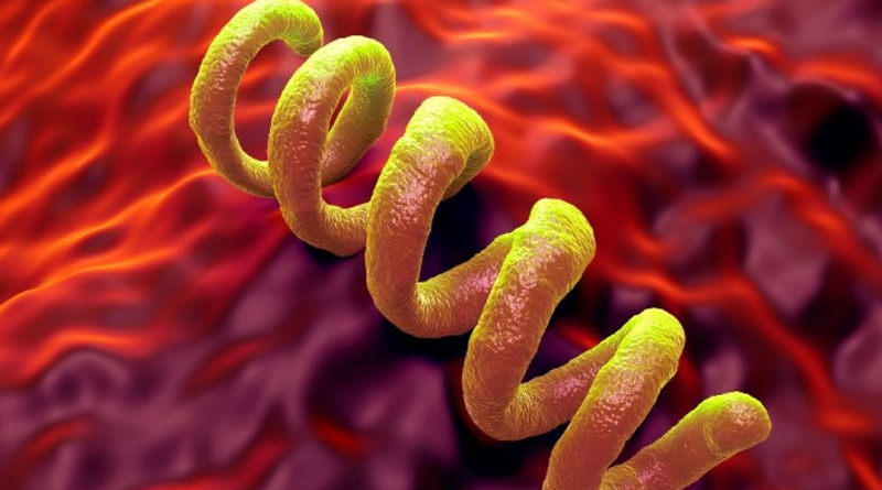 Dépistage Syphilis sans ordonnance
